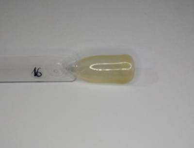 Semipermanente Tei X8ml #16
