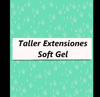 Taller Extensiones Soft Gel