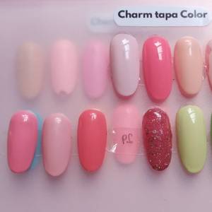 Charm Limit Tapa color x12